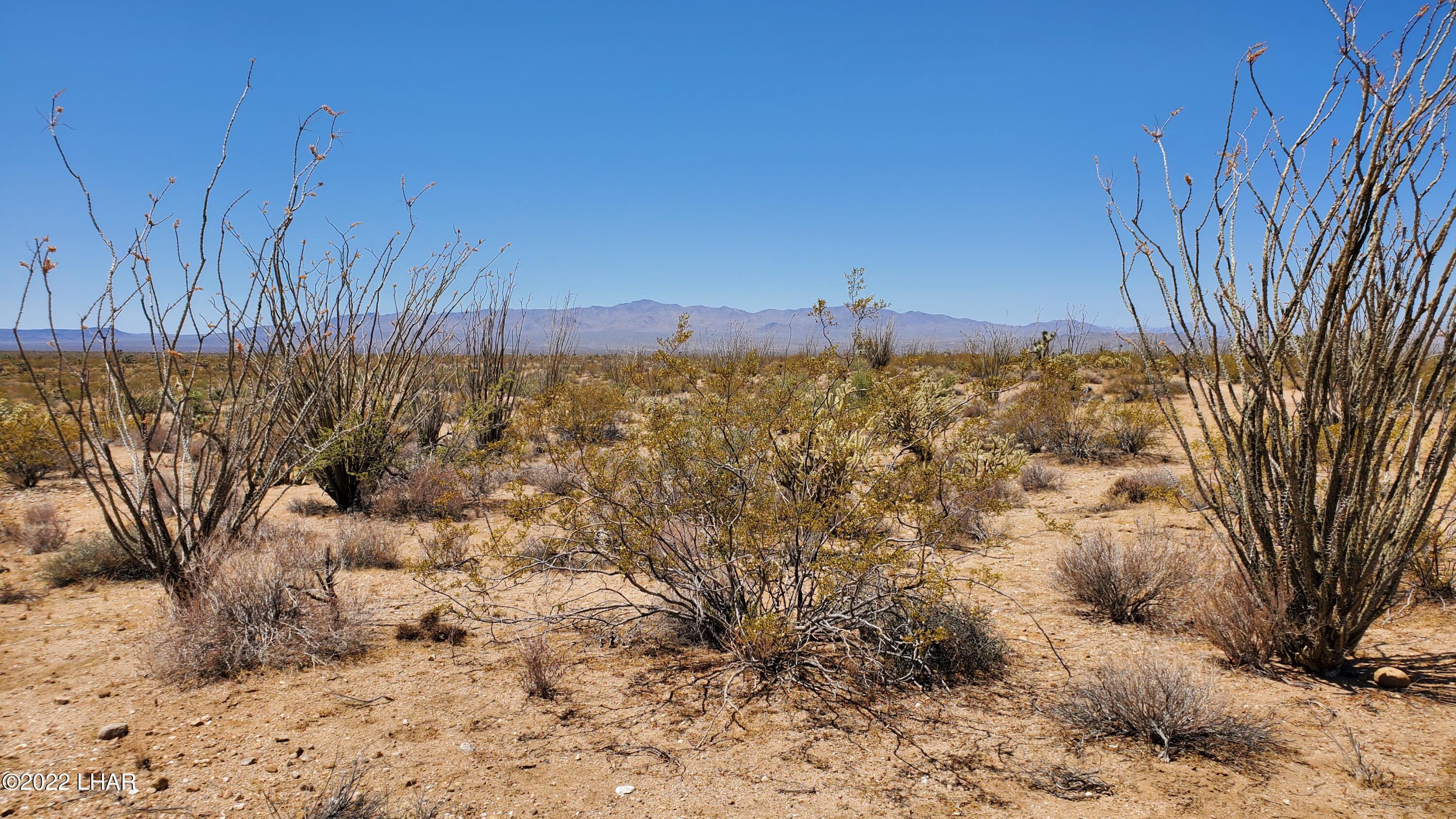 2719 South Wyatt Earp Road Yucca, AZ 86438 - Photo 17 of 27 20220707_113227
