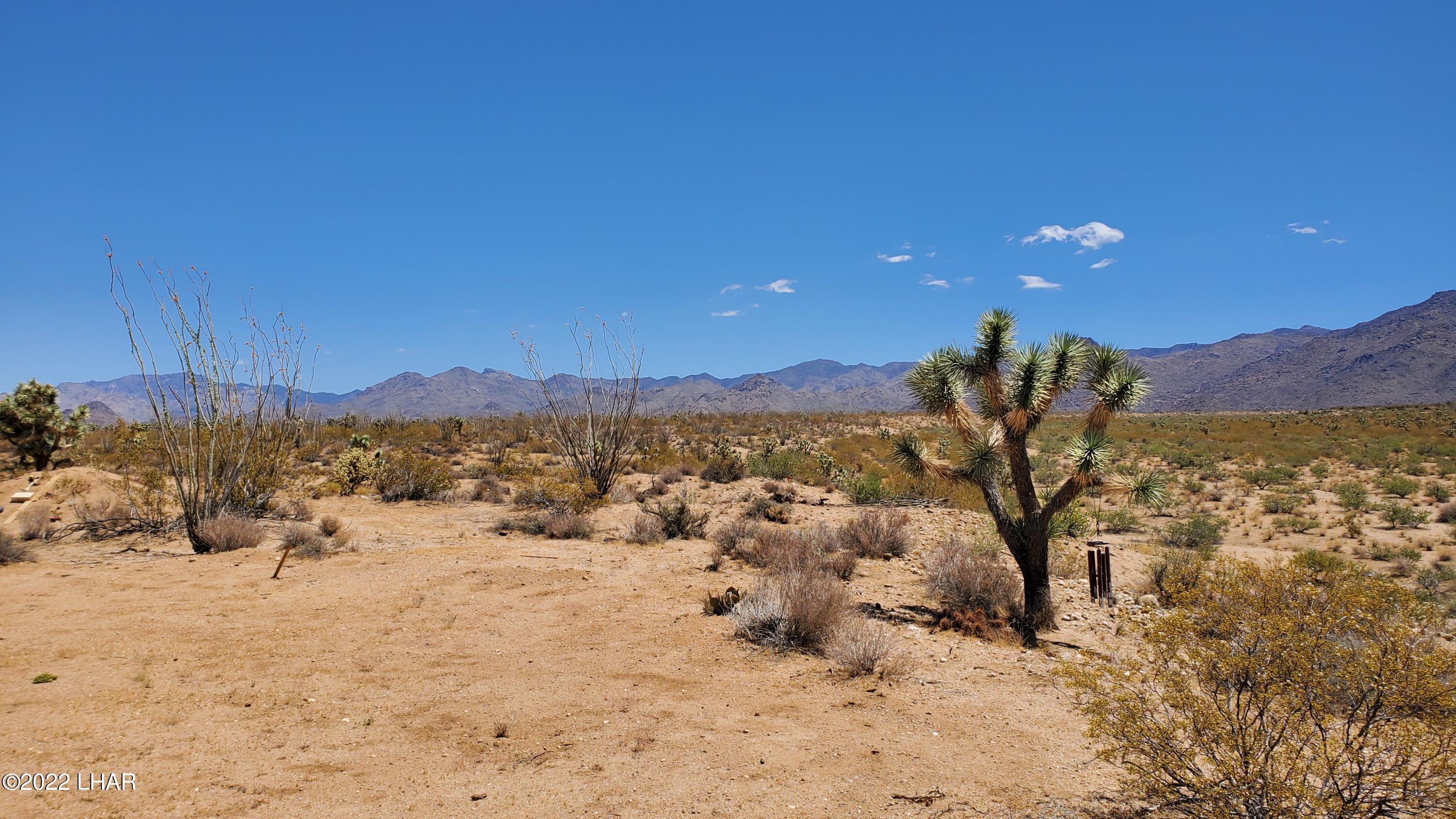 2719 South Wyatt Earp Road Yucca, AZ 86438 - Photo 18 of 27 20220707_113236