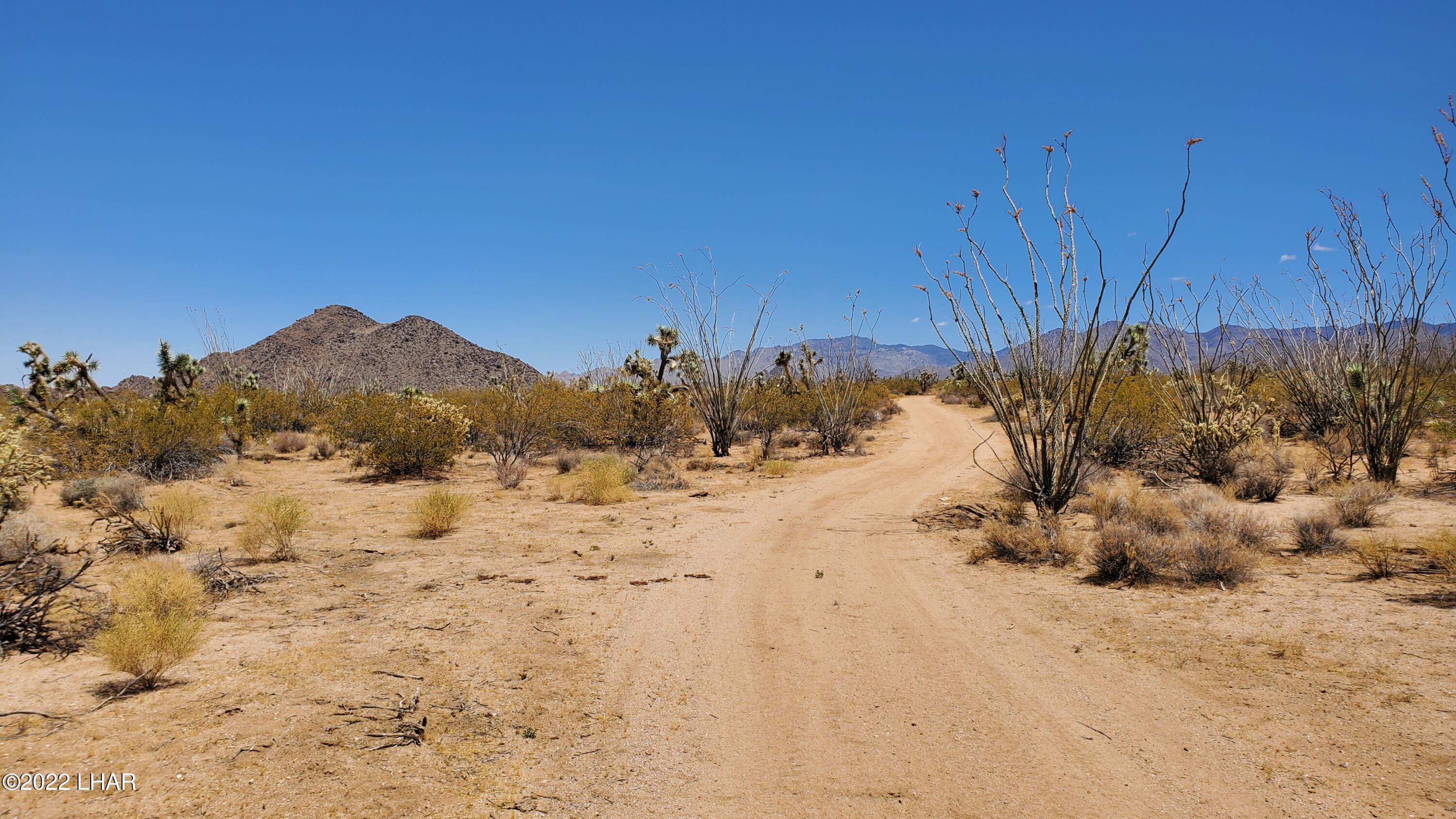 2719 South Wyatt Earp Road Yucca, AZ 86438 - Photo 19 of 27 20220707_113406