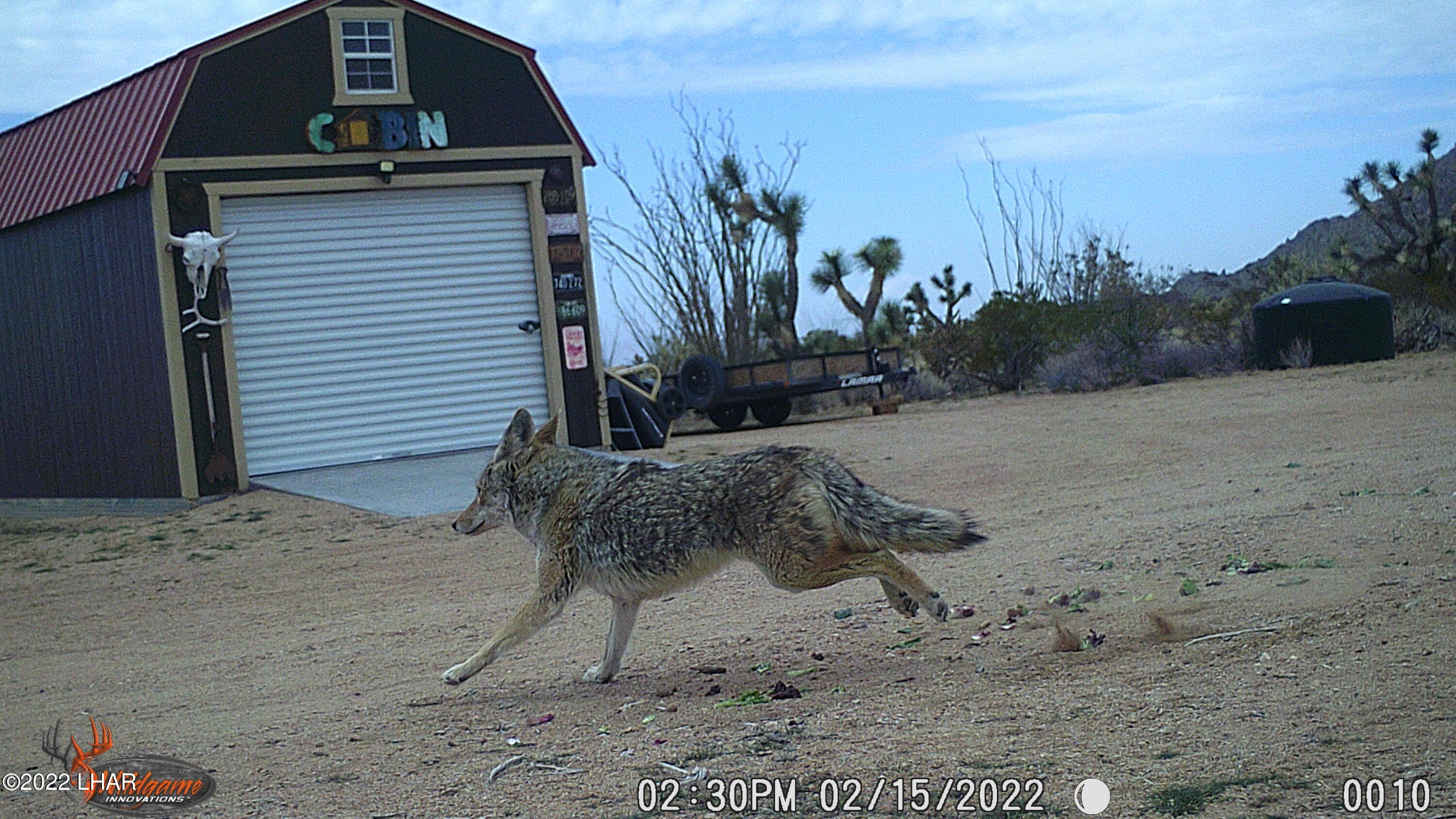 2719 South Wyatt Earp Road Yucca, AZ 86438 - Photo 22 of 27 COYOTE 2 15 22