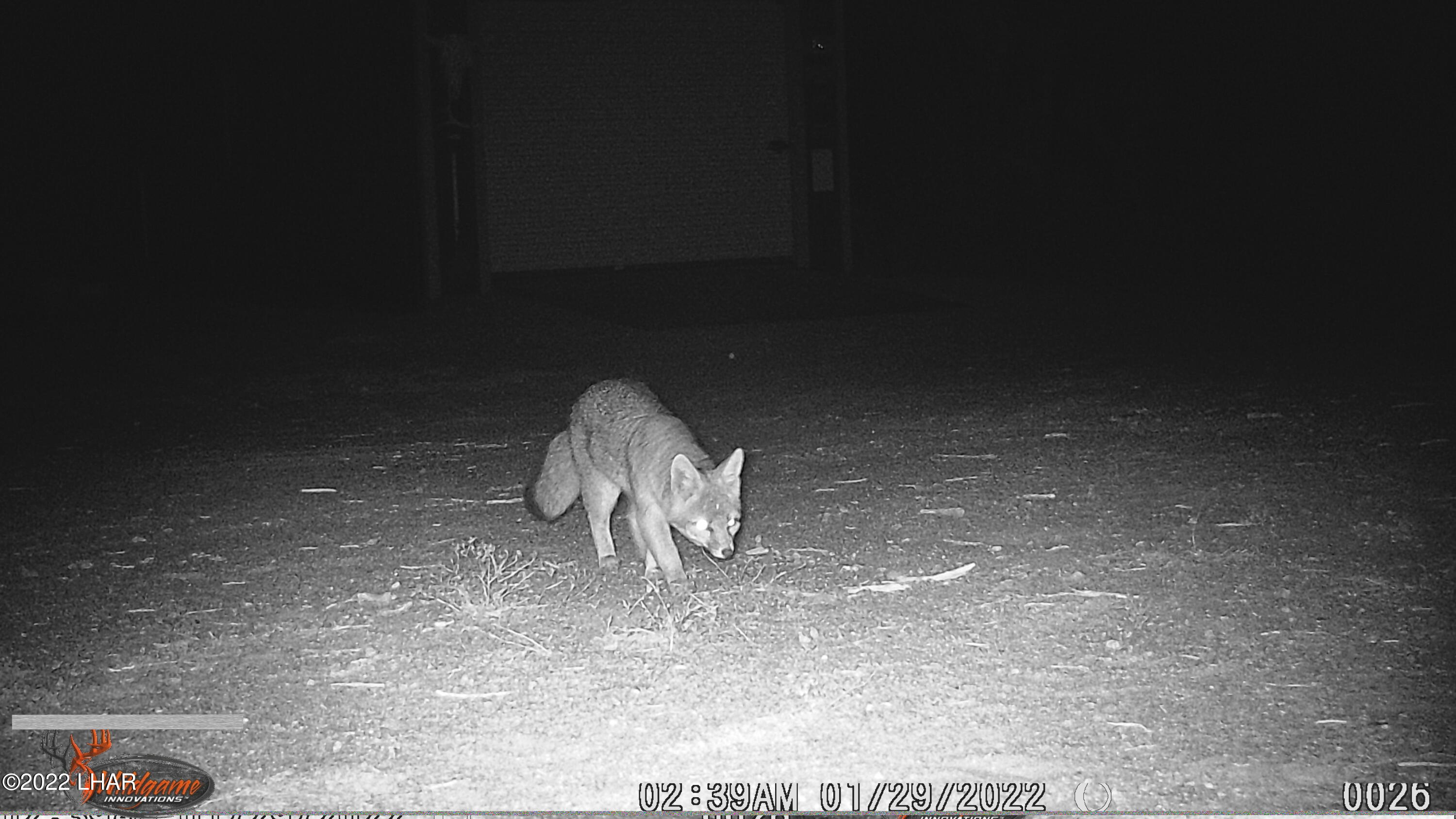 2719 South Wyatt Earp Road Yucca, AZ 86438 - Photo 23 of 27 WGI_0026