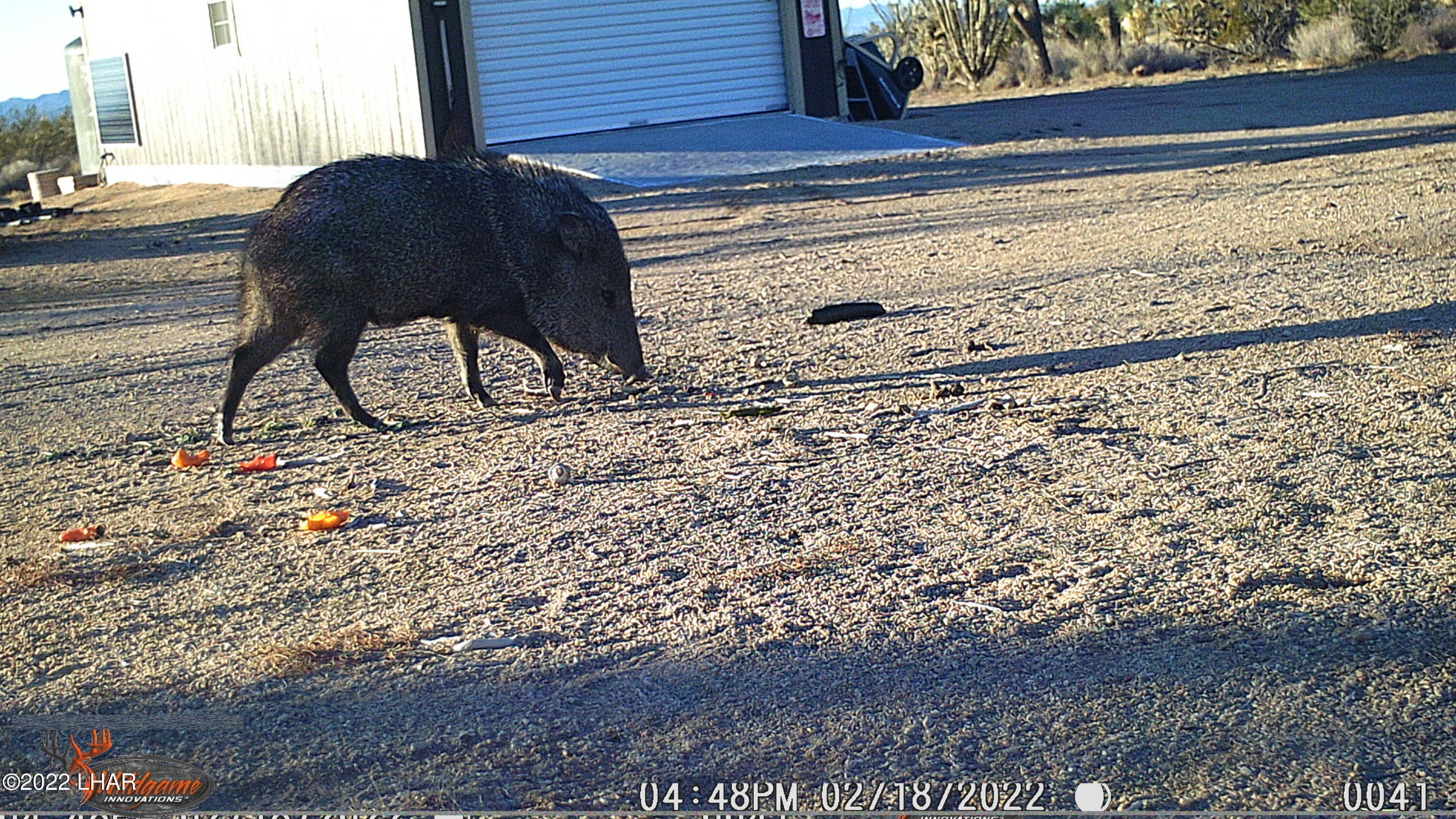 2719 South Wyatt Earp Road Yucca, AZ 86438 - Photo 24 of 27 WGI_0041