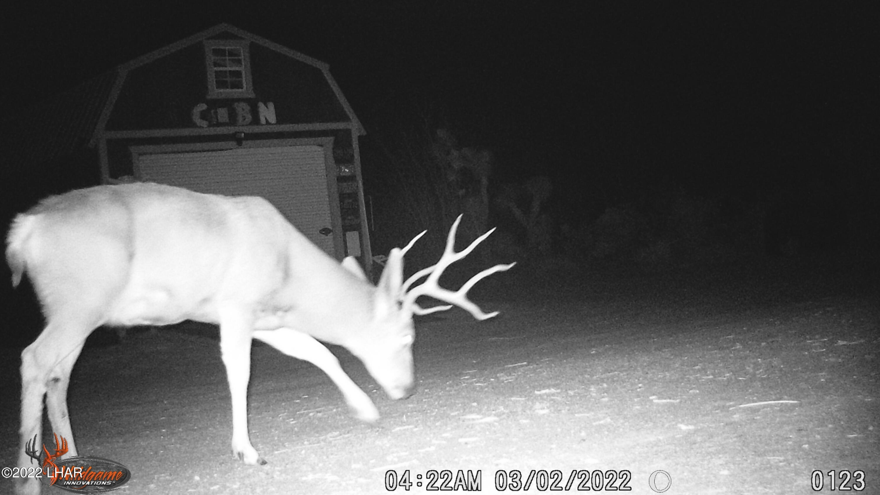 2719 South Wyatt Earp Road Yucca, AZ 86438 - Photo 26 of 27 BUCK 3 2 22