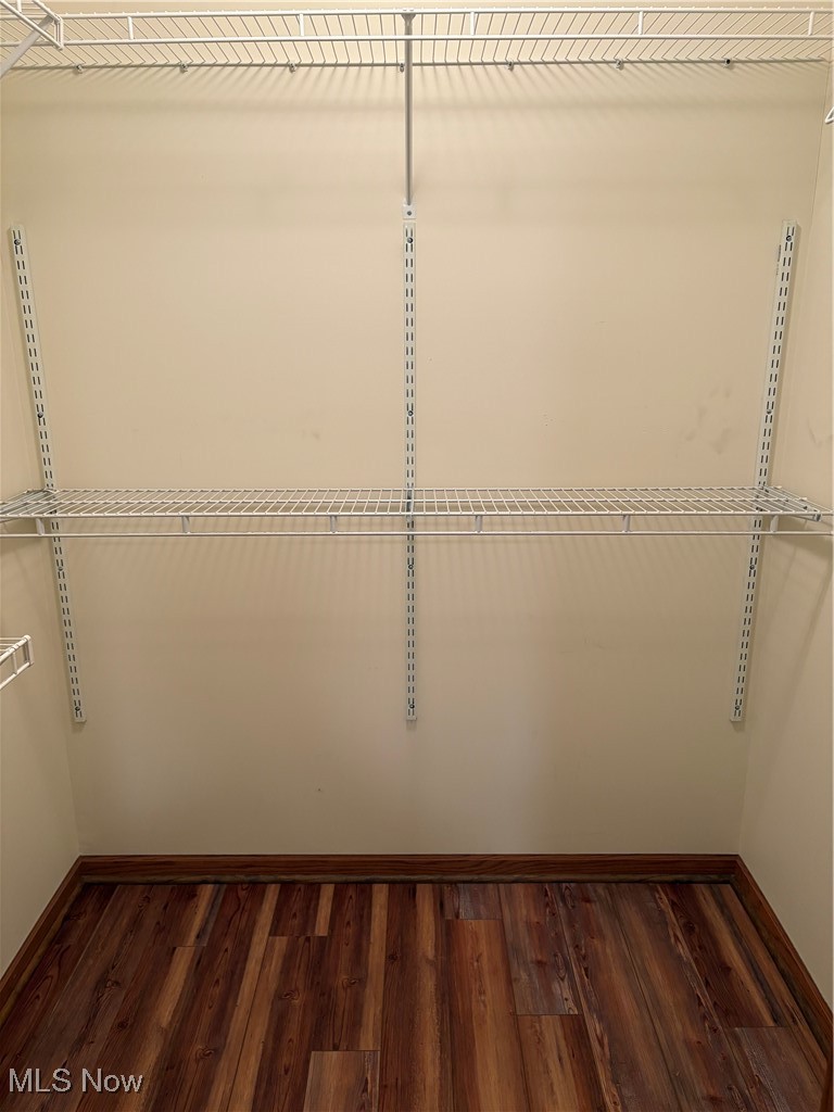 6695 Clingan Road, Unit 24 Youngstown, OH 44514 - Photo 12 of 26 Spacious closet with dark wood-style floors