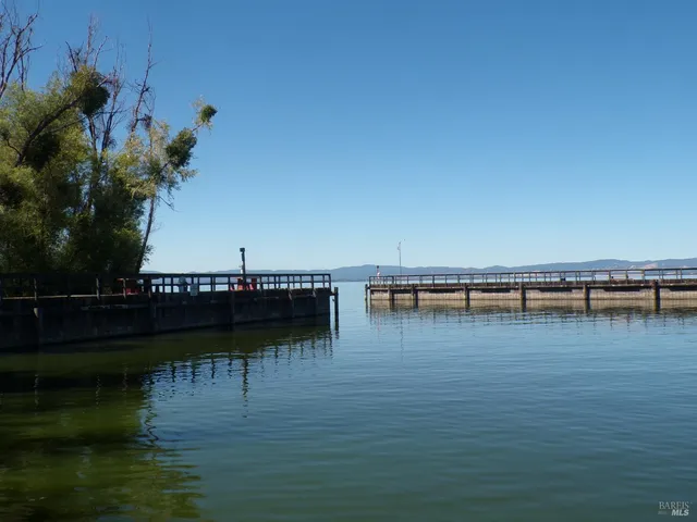 a view of a lake with boats and palm trees