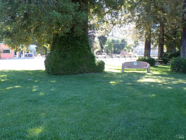 a view of a fountain in a yard with palm trees