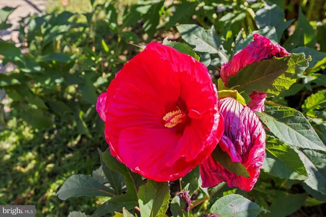 $549,900 | 12822 Pelham Drive, Spotsylvania, VA 22553