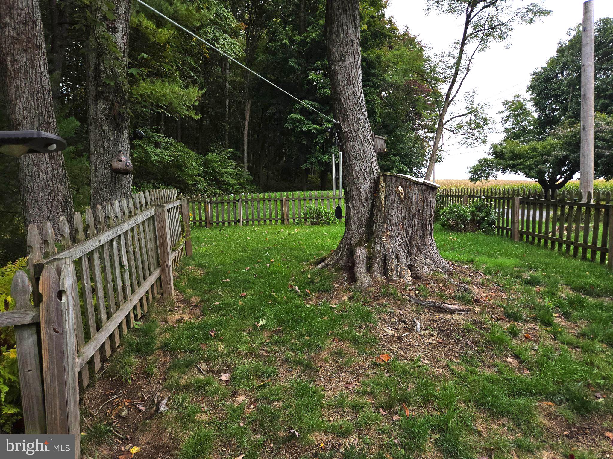 2 Sunnylane Road Pottsville, PA 17901 - Photo 41 of 44 Back Yard