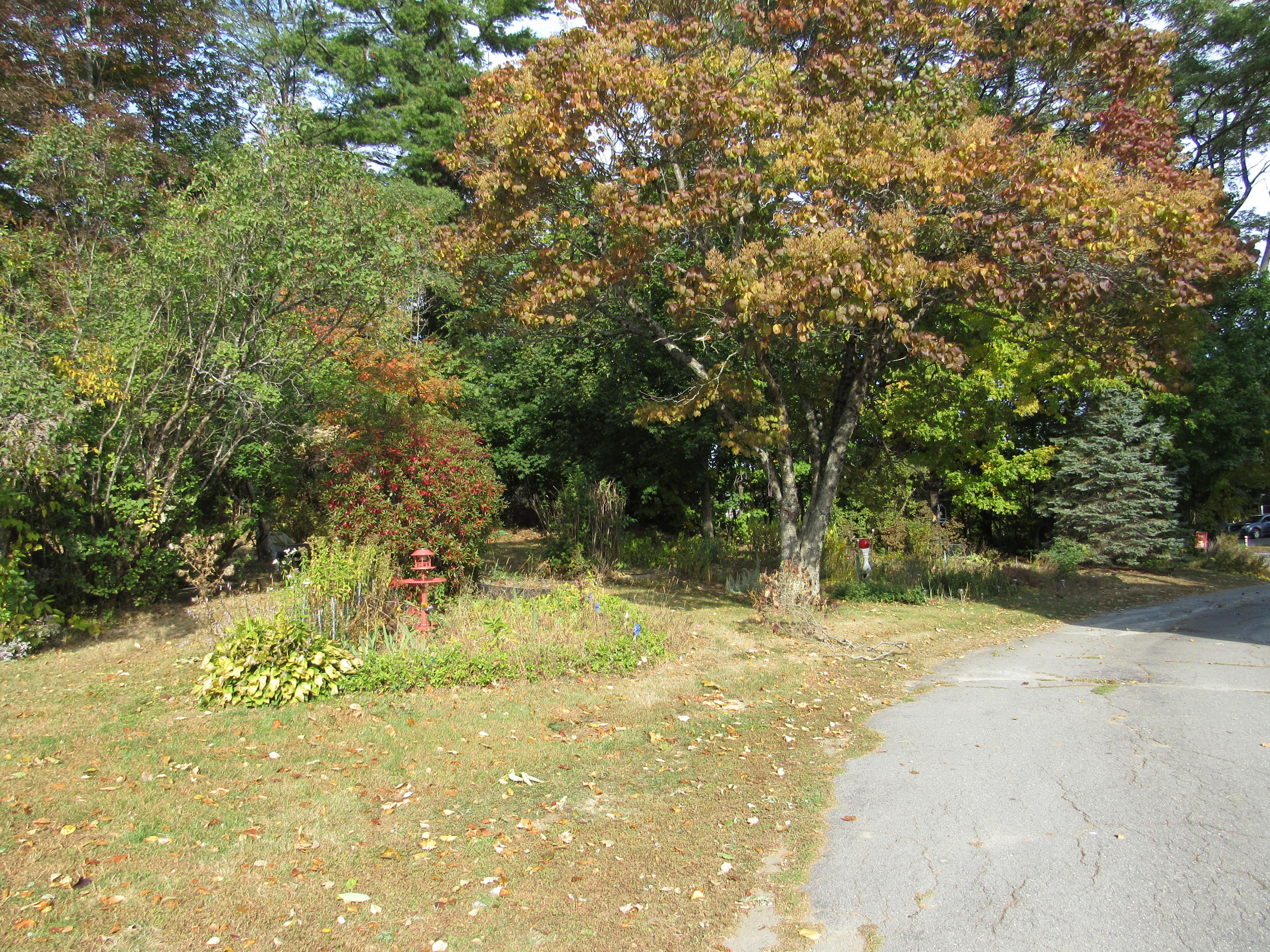 339 Waterville Road Skowhegan, ME 04976 - Photo 12 of 56 IMG_3475