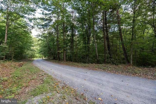 $22,900 | Lot D3-holiday Lot D3-holiday Hill Road, Luray, VA 22835
