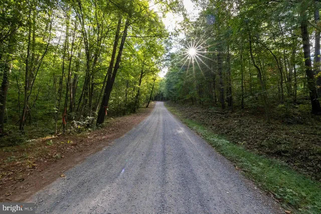 $22,900 | Lot D3-holiday Lot D3-holiday Hill Road, Luray, VA 22835