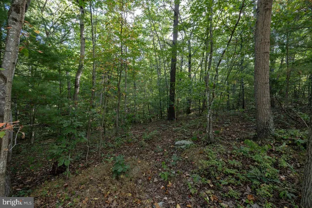 $22,900 | Lot D3-holiday Lot D3-holiday Hill Road, Luray, VA 22835