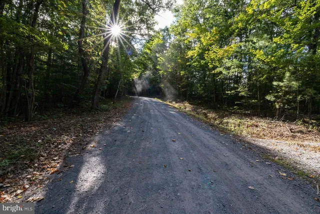 $22,900 | Lot D3-holiday Lot D3-holiday Hill Road, Luray, VA 22835