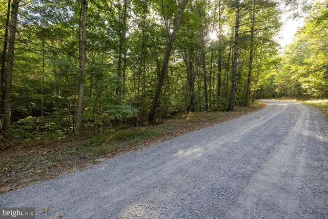 $22,900 | Lot D3-holiday Lot D3-holiday Hill Road, Luray, VA 22835