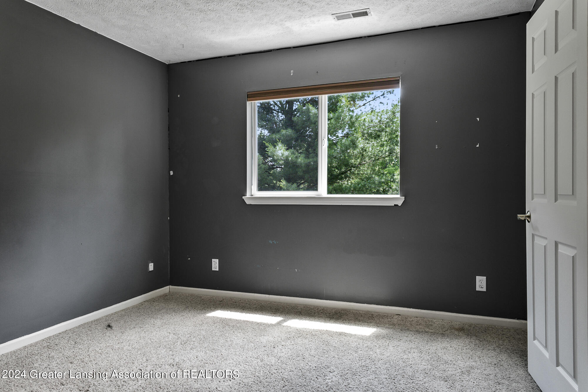 9169 Butler Road Perrinton, MI 48871 - Photo 53 of 62 9169 Butler Rd Perrinton MI-161