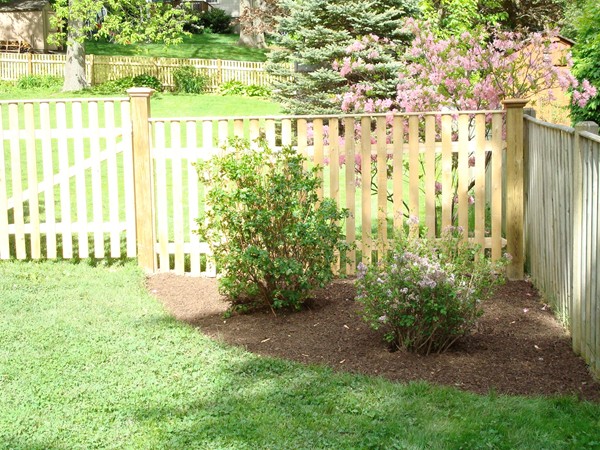 15 Charles Street Natick, MA 01760 - Photo 20 of 21 a view of outdoor space and garden