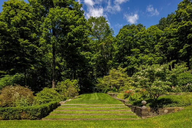 a view of yard with green space