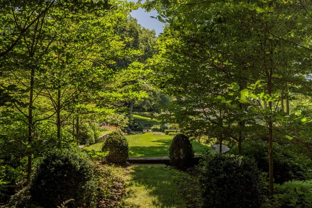 a green field with lots of trees