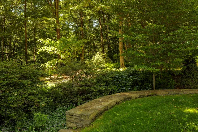 a backyard of a house with lots of green space