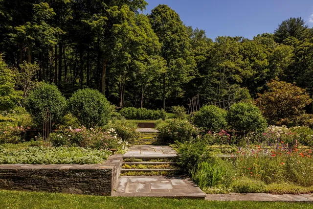 a view of a garden with plants and large trees