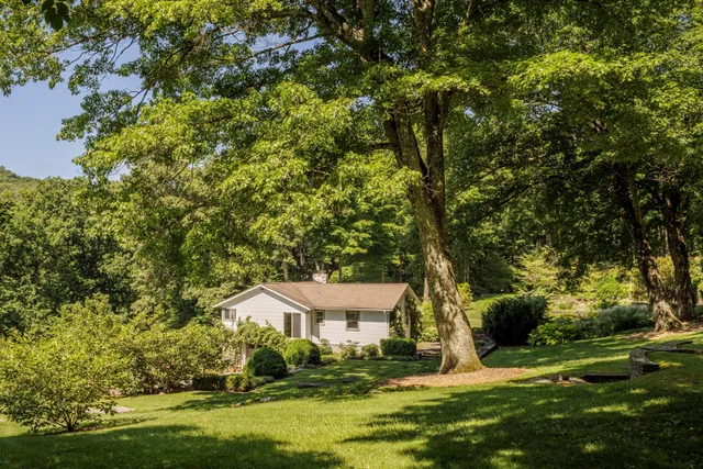 a front view of a house with a yard and large trees