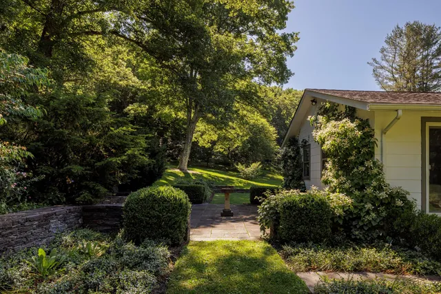 a view of a garden with plants