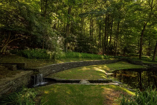 a view of a backyard with large trees