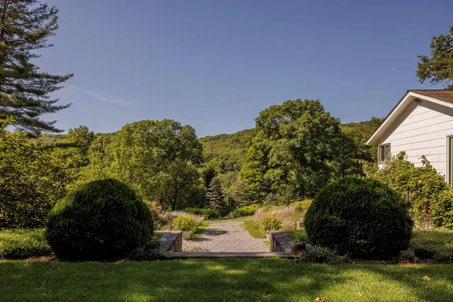 a view of a backyard