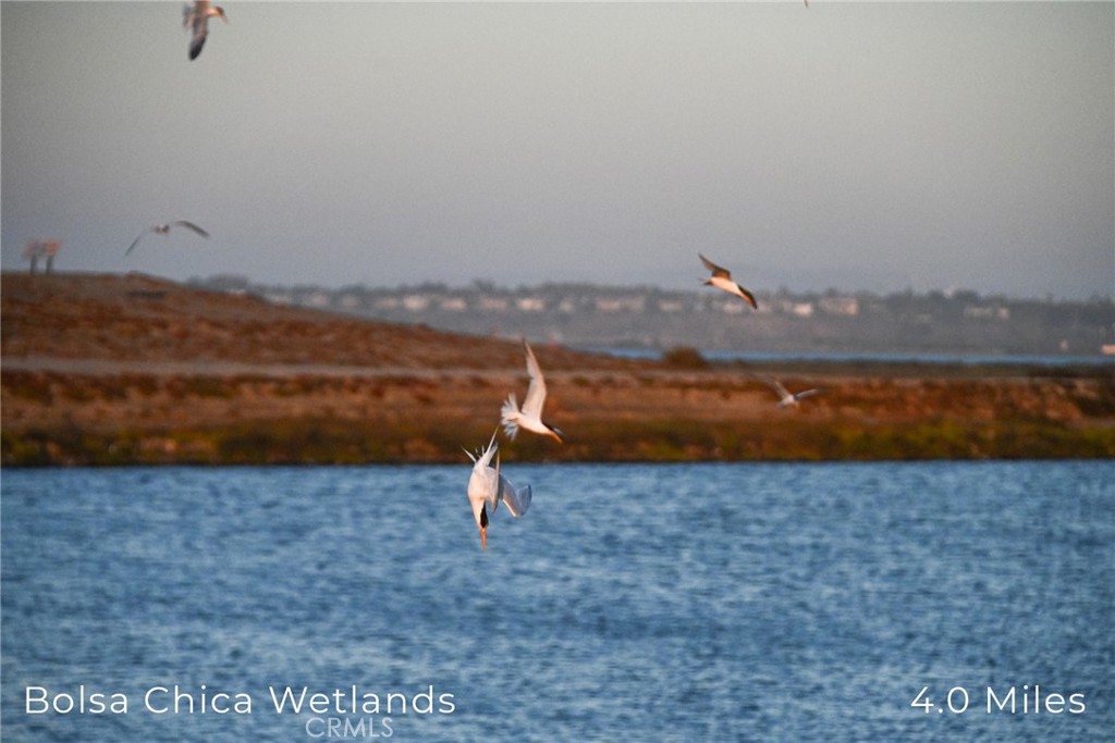 414 Main Street, Unit 400 Huntington Beach, CA 92648 - Photo 21 of 29 a view of a lake