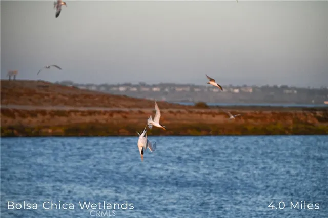 an aerial view of residential building and lake