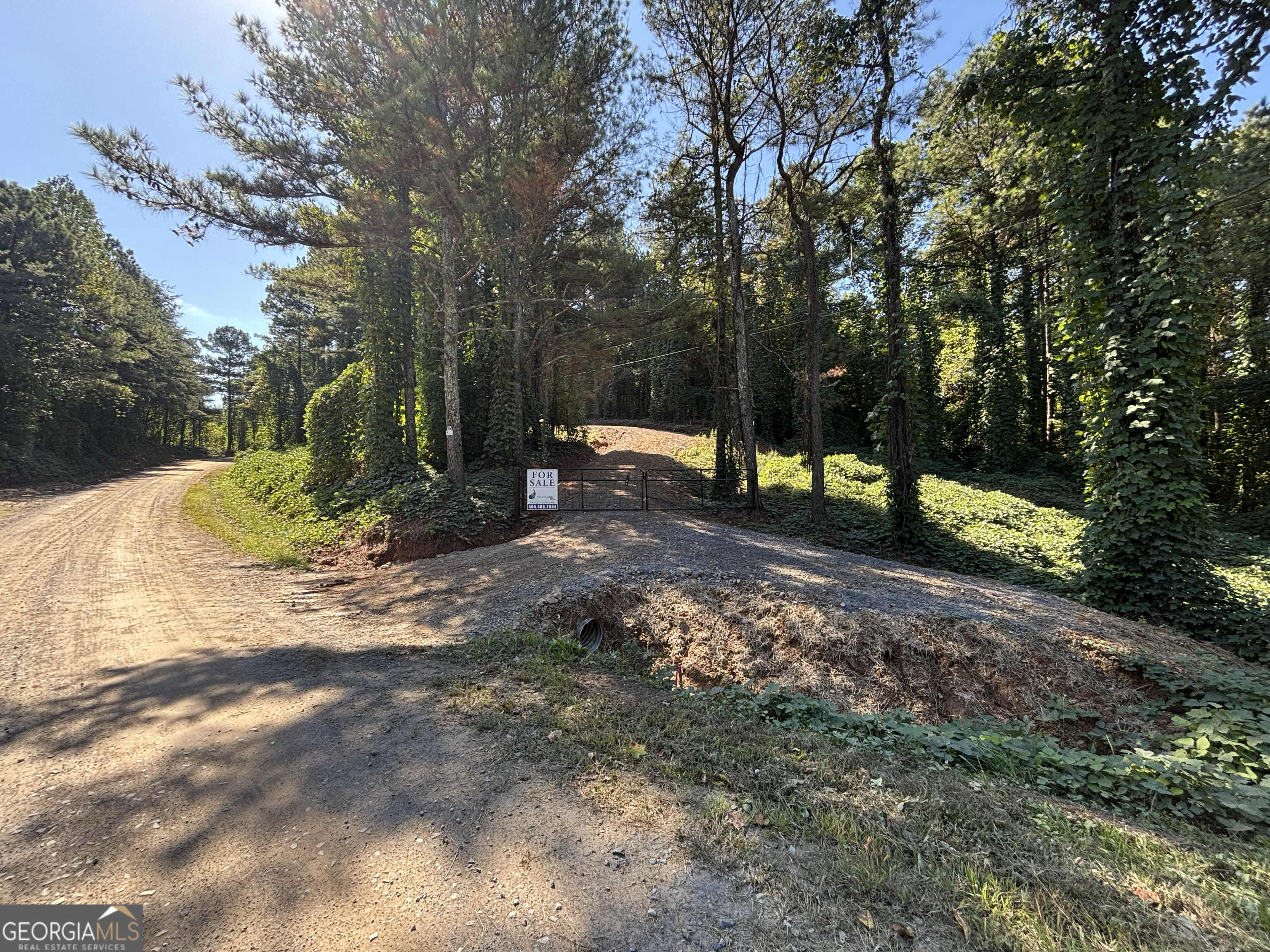 3-west Dry Pond Road, Unit LOT #3 WEST Ranger, GA 30734 - Photo 14 of 16 a view of park with tree