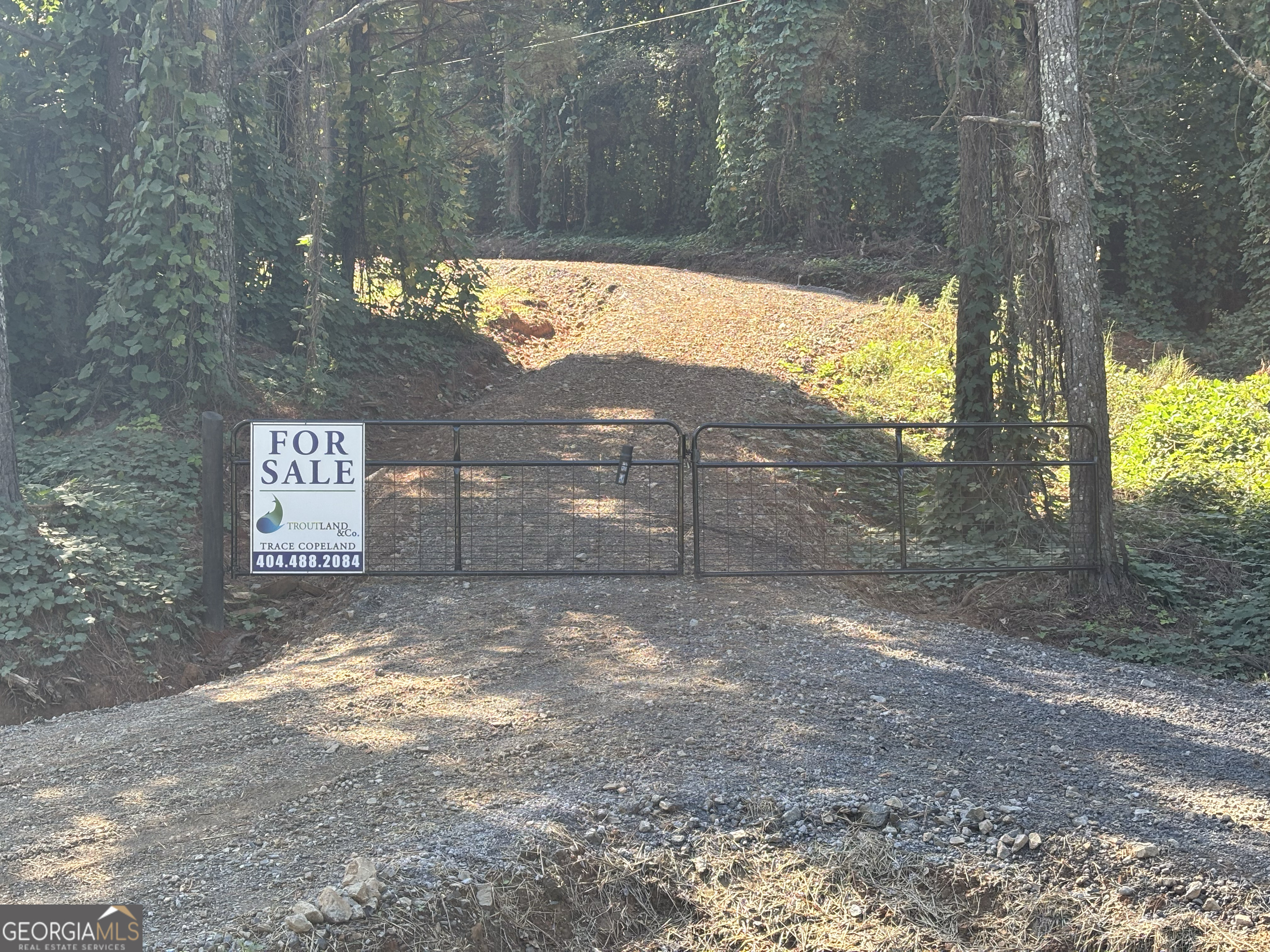 3-west Dry Pond Road, Unit LOT #3 WEST Ranger, GA 30734 - Photo 18 of 19 a view of a yard with an outdoor space