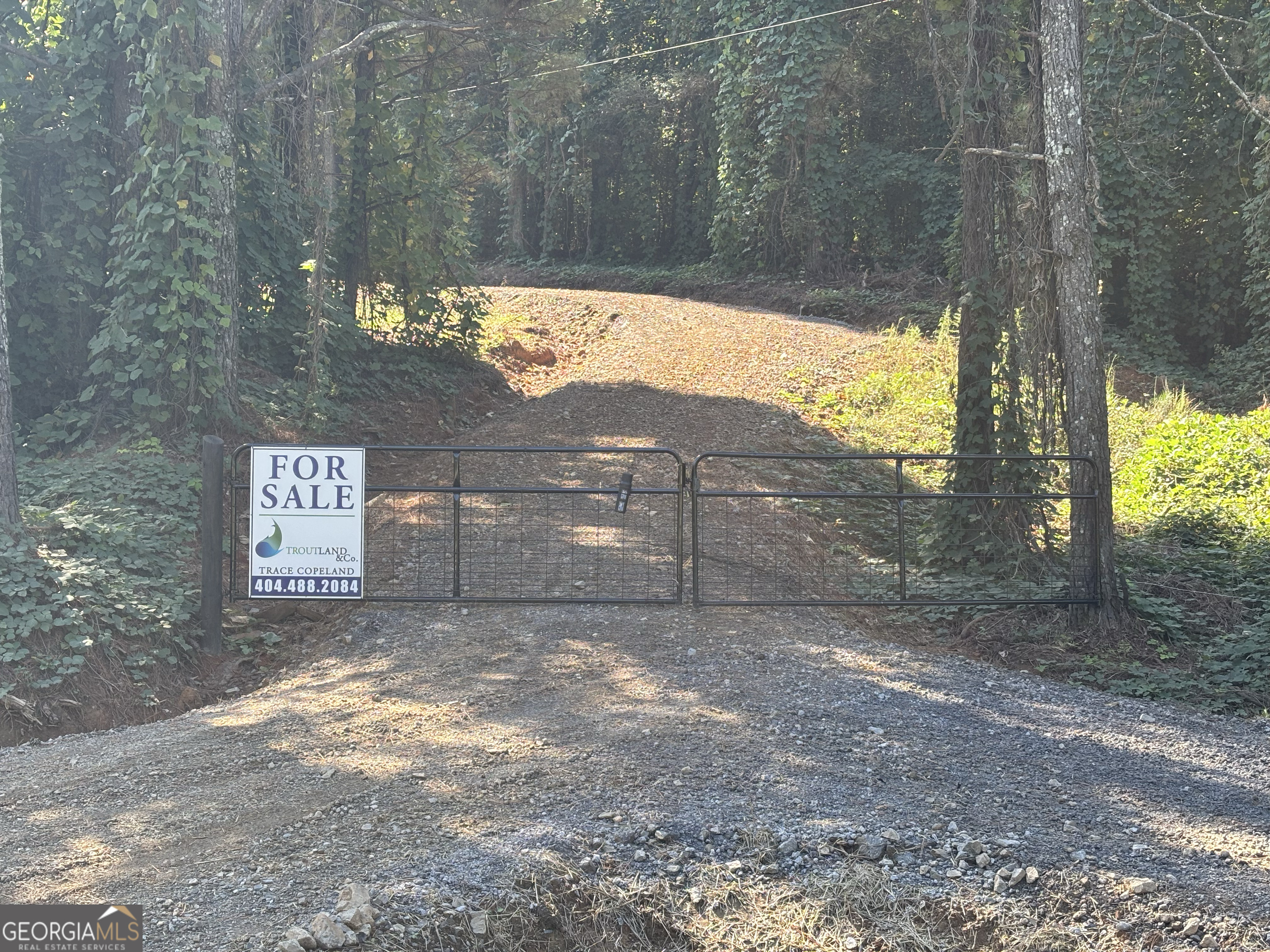 3-west Dry Pond Road, Unit LOT #3 WEST Ranger, GA 30734 - Photo 2 of 16 a view of a backyard with large trees and wooden fence