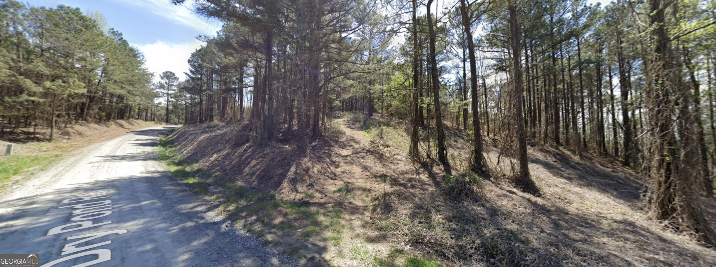 3-west Dry Pond Road, Unit LOT #3 WEST Ranger, GA 30734 - Photo 8 of 19 a view of forest