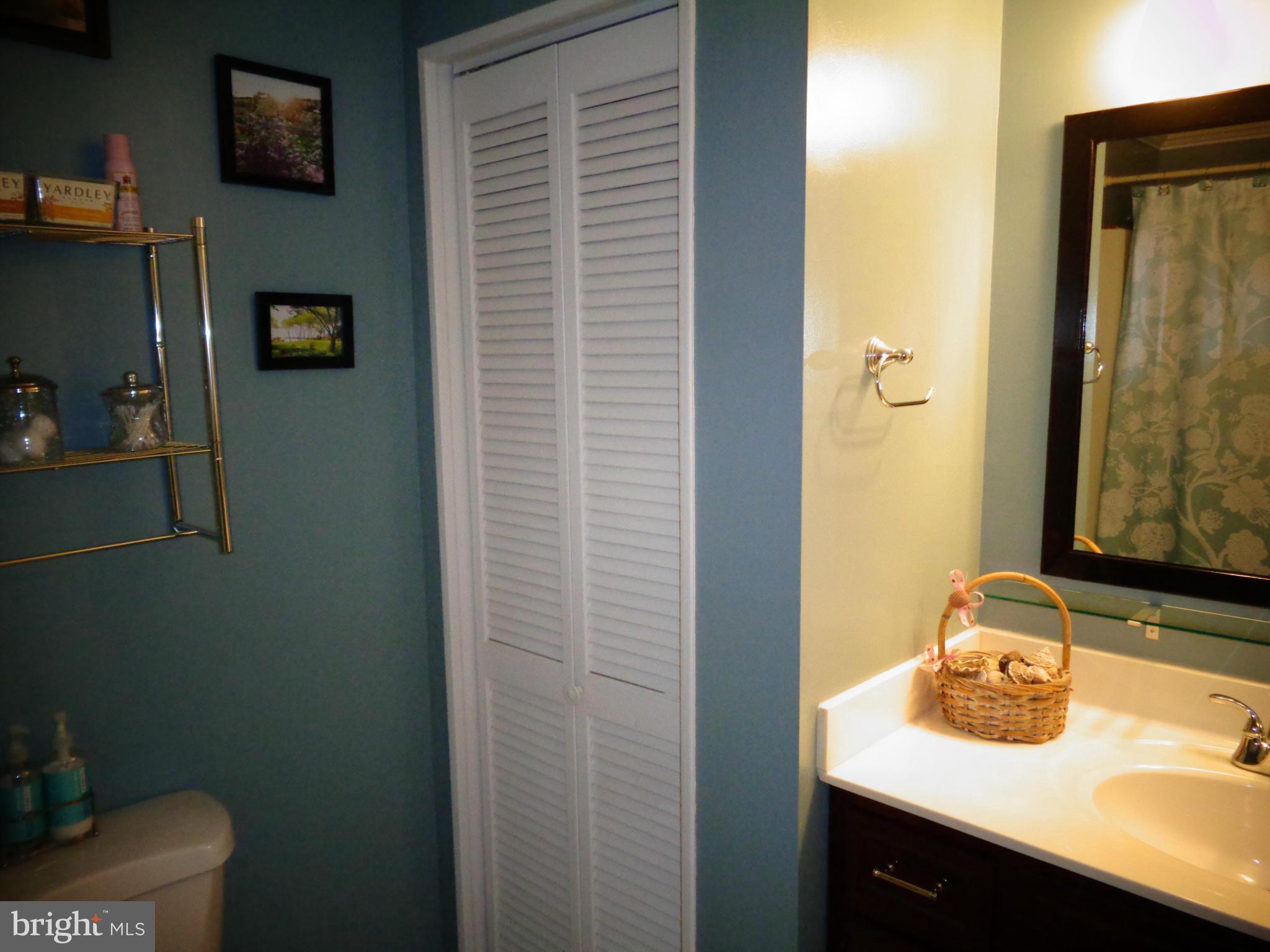 208 Pine Valley Road Locust Grove, VA 22508 - Photo 20 of 30 Bath
