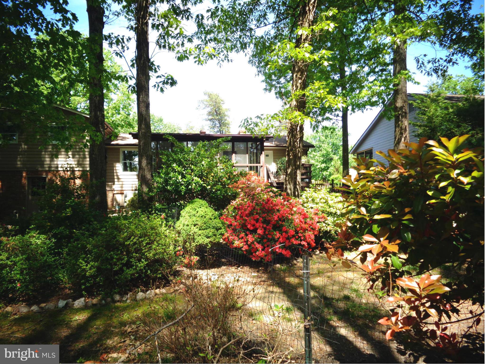 208 Pine Valley Road Locust Grove, VA 22508 - Photo 28 of 30 Exterior (Rear)