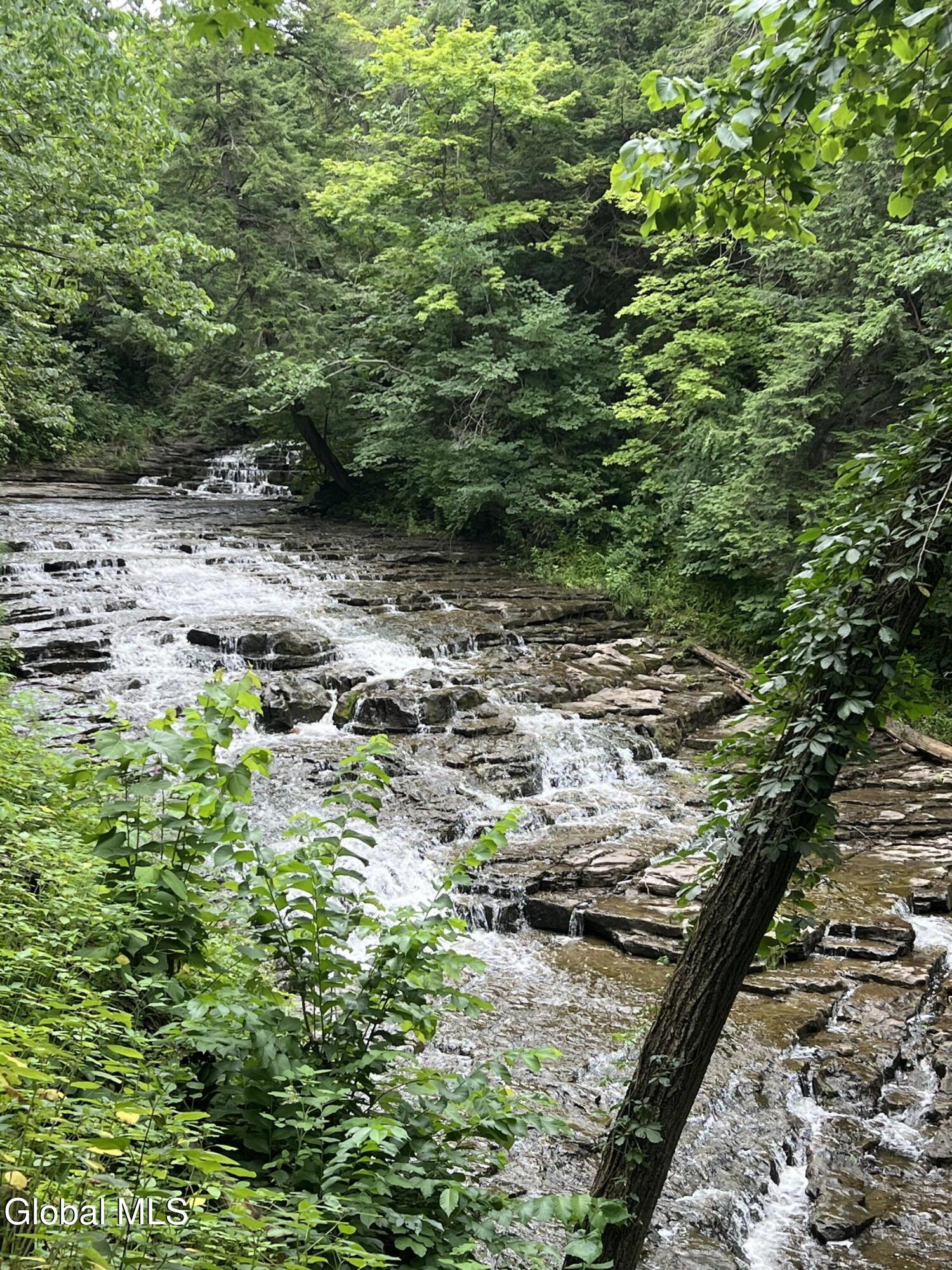 1682 Mill Road St. Johnsville, NY 13452 - Photo 47 of 95 IMG_4598