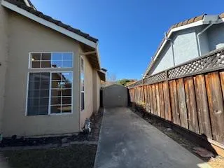 a view of a backyard with wooden fence and a large tree