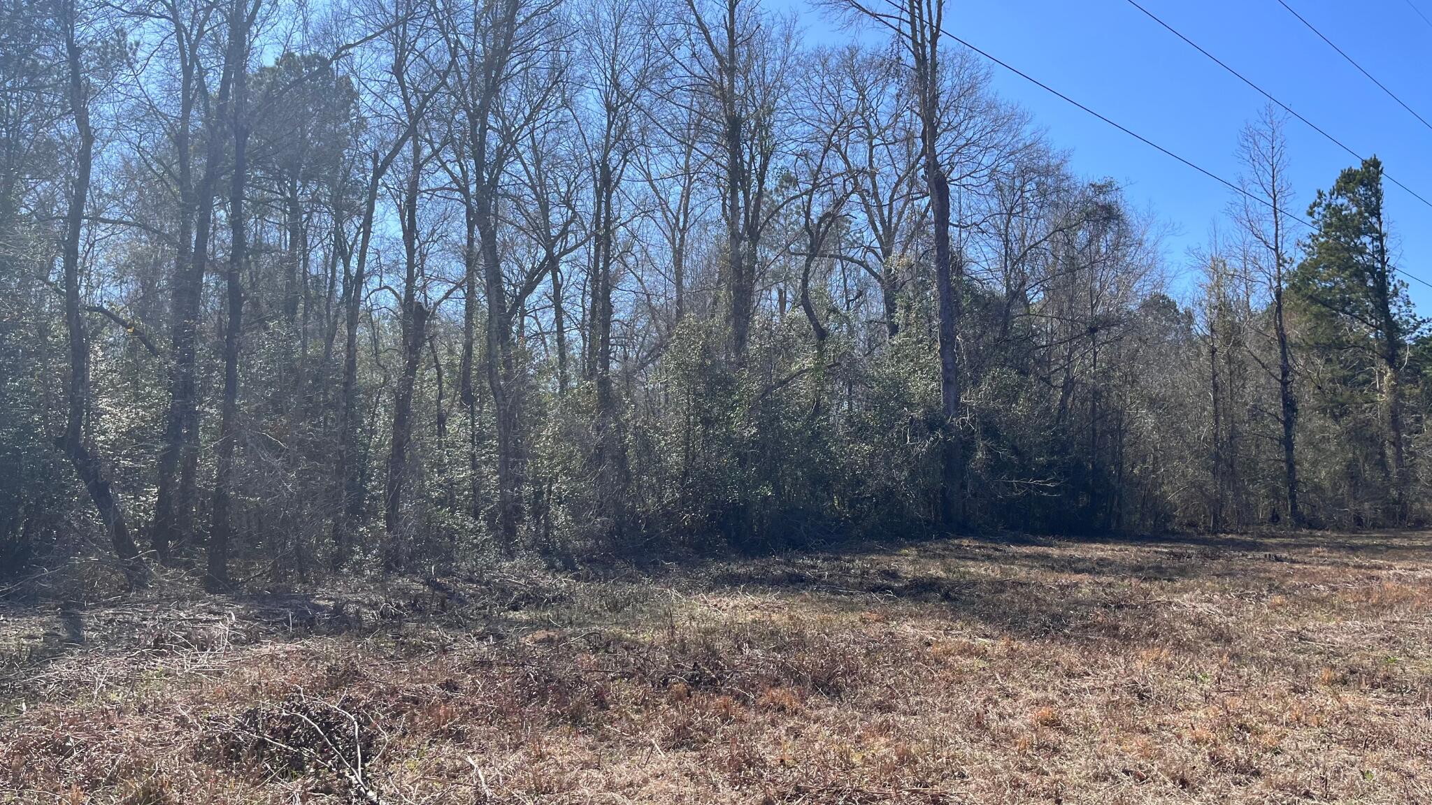 0 Veterans Road Salley, SC 29137 - Photo 12 of 23