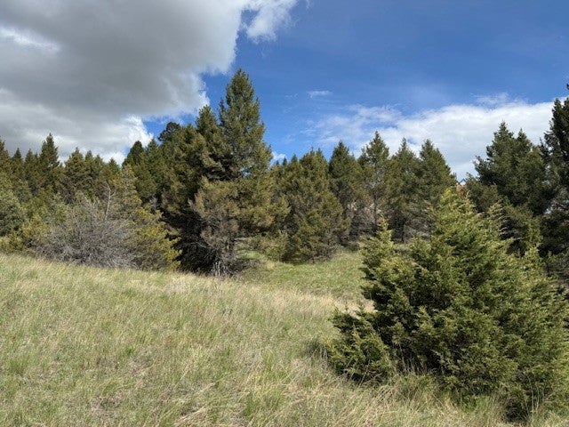 704 Flint View Road Deer Lodge, MT 59722 - Photo 11 of 20 Gallery Image 11