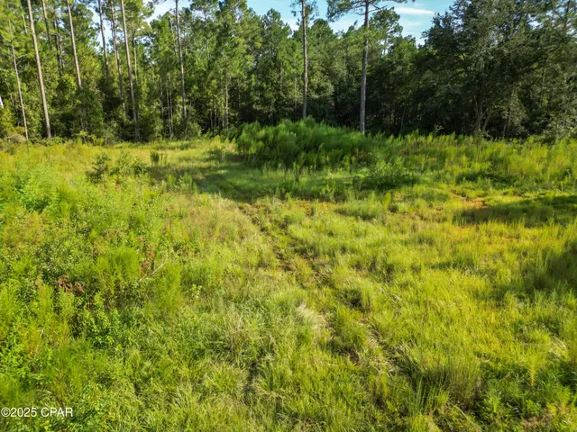 $43,900 | 4477 Cypress Crossing Road, Vernon, FL 32462