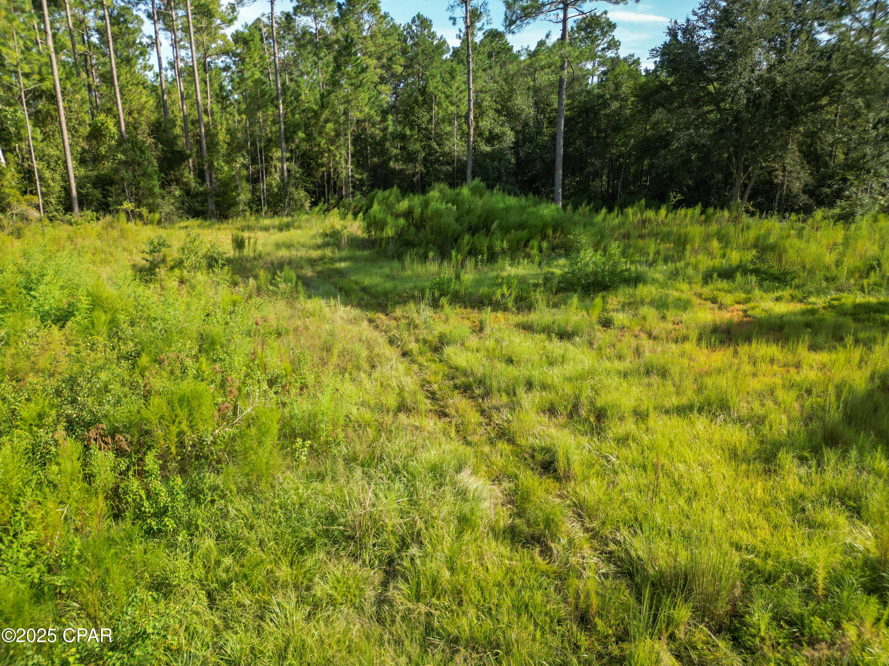 4477 Cypress Crossing Road Vernon, FL 32462 - Photo 15 of 18