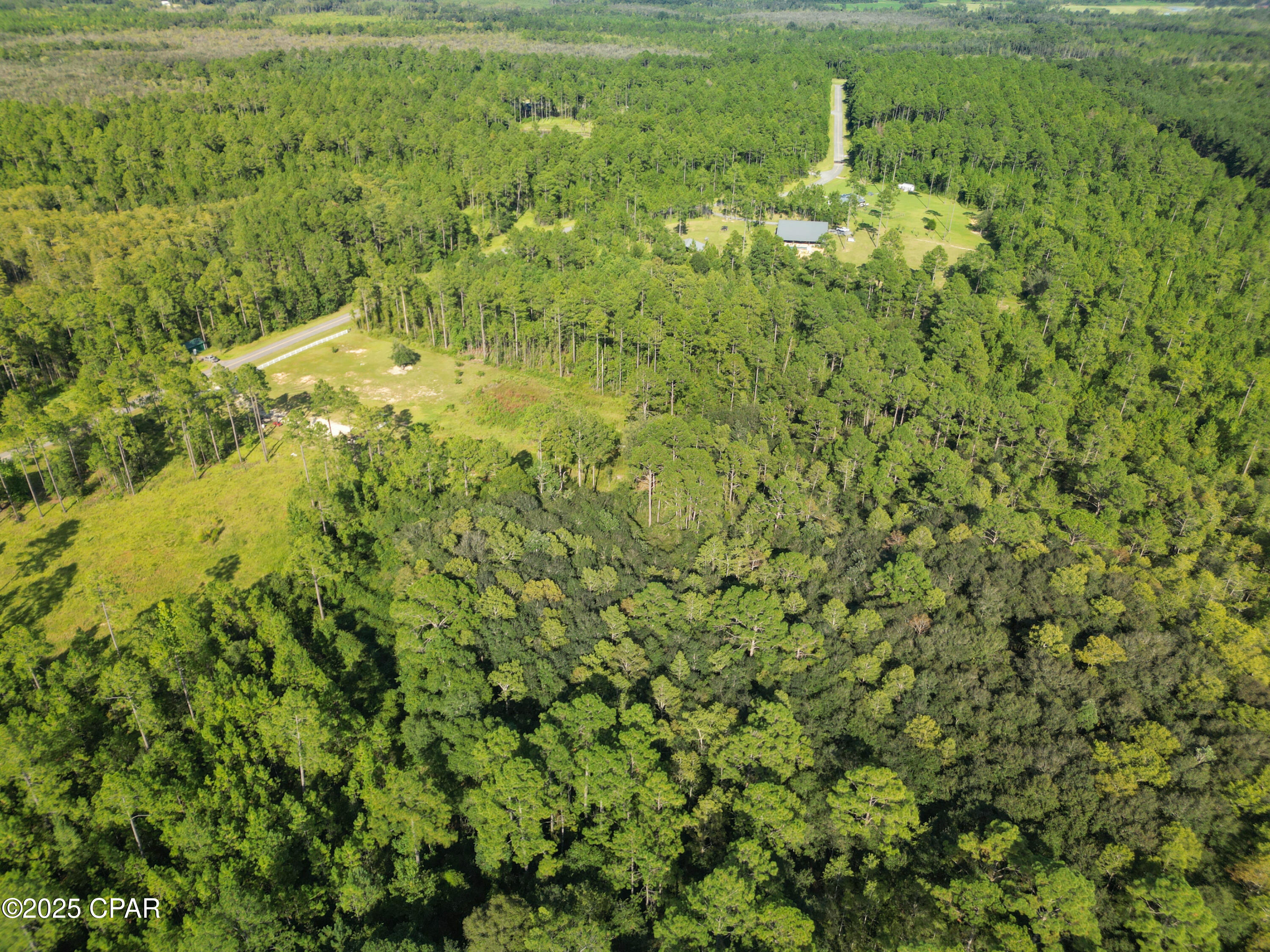 4477 Cypress Crossing Road Vernon, FL 32462 - Photo 4 of 18