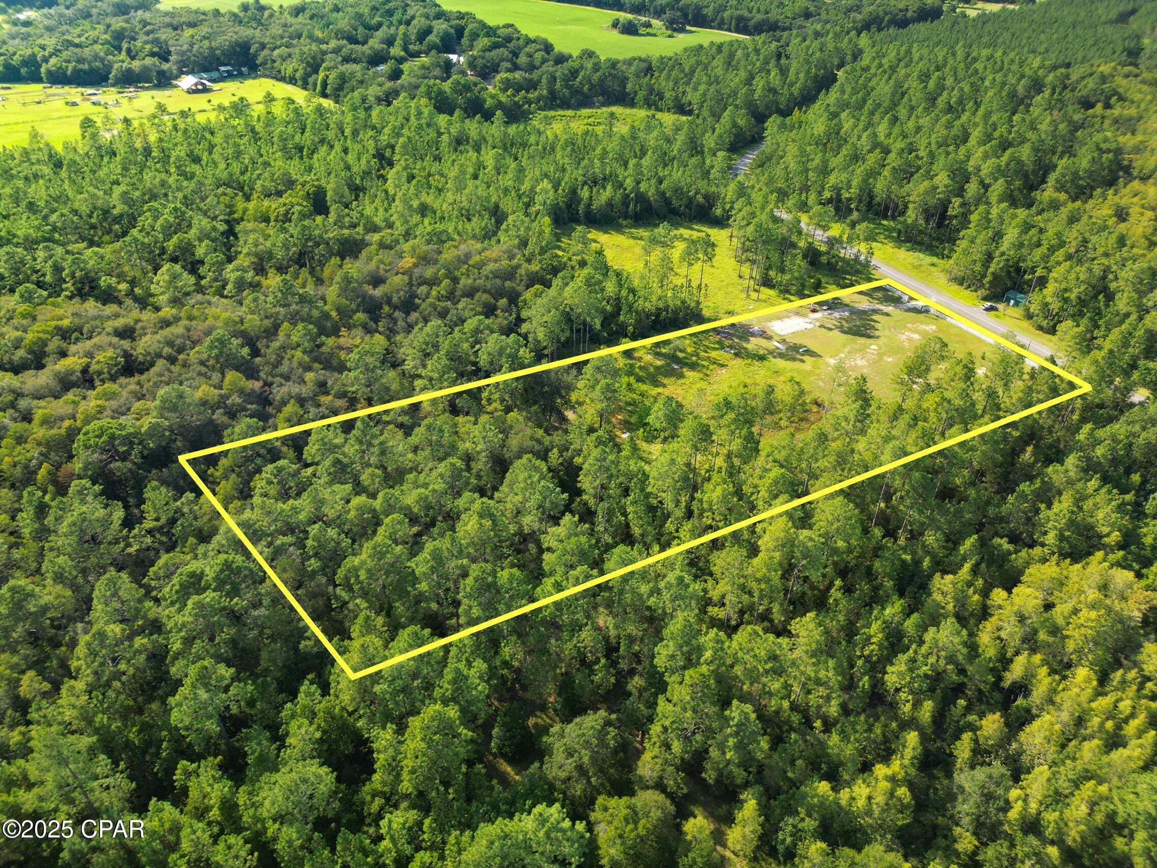 4477 Cypress Crossing Road Vernon, FL 32462 - Photo 6 of 18