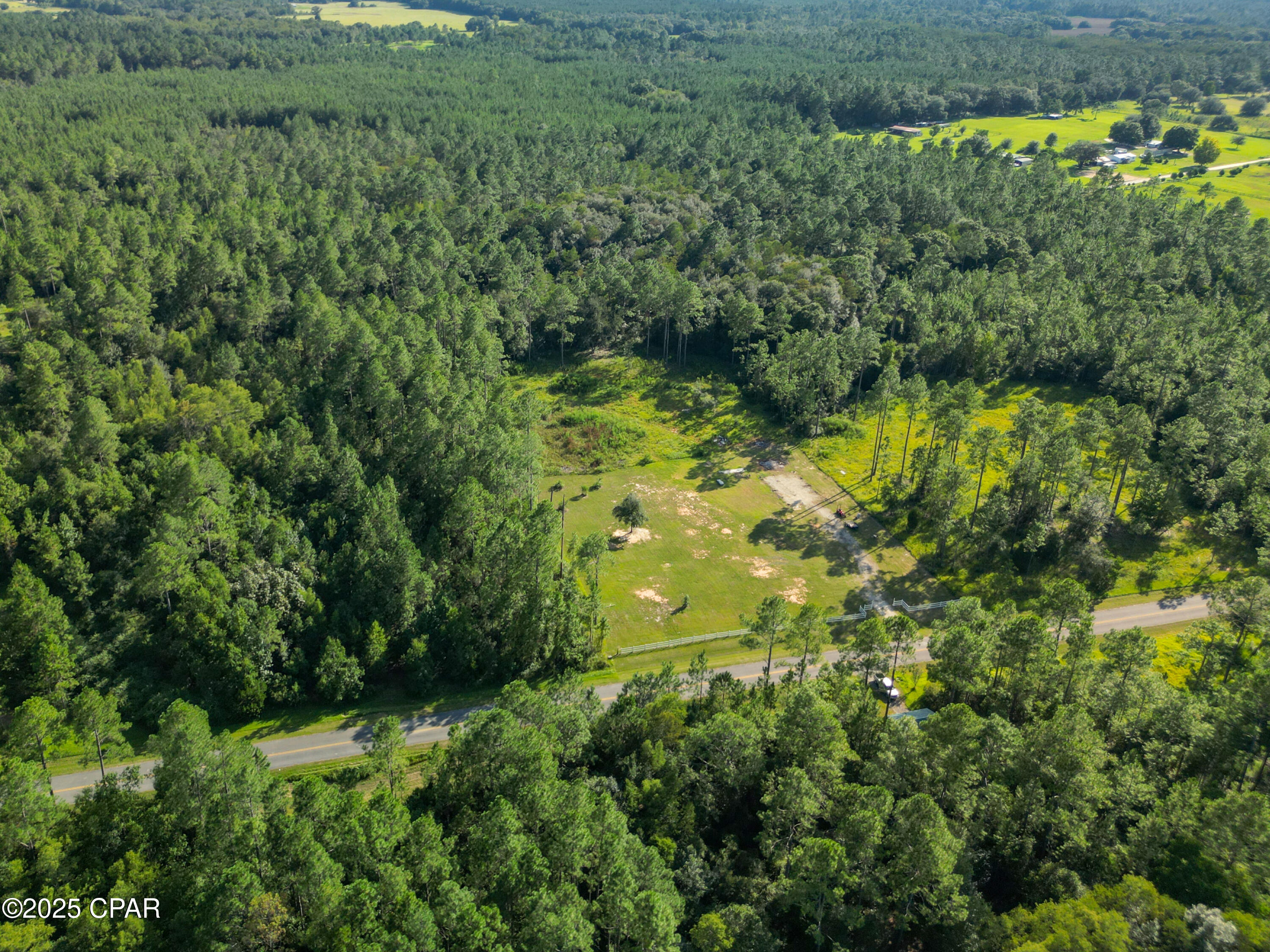 4477 Cypress Crossing Road Vernon, FL 32462 - Photo 7 of 18