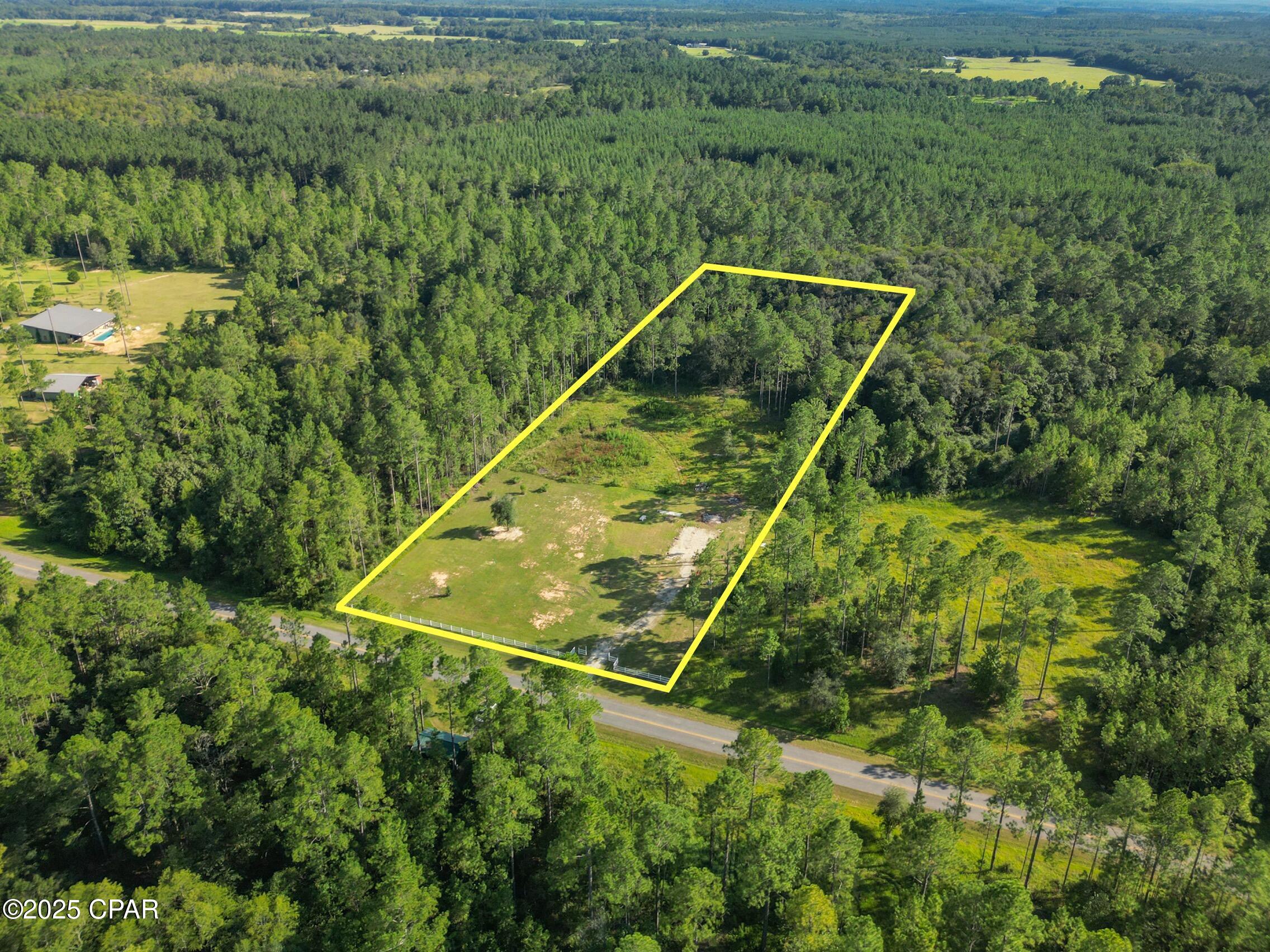 4477 Cypress Crossing Road Vernon, FL 32462 - Photo 8 of 18