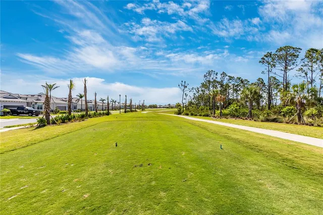 a view of a park with large trees