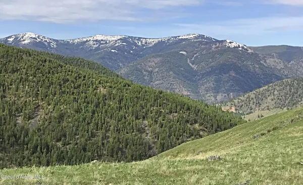 $1,976,000 | Nha McLaughlin Creek Road, Plains, MT 59859