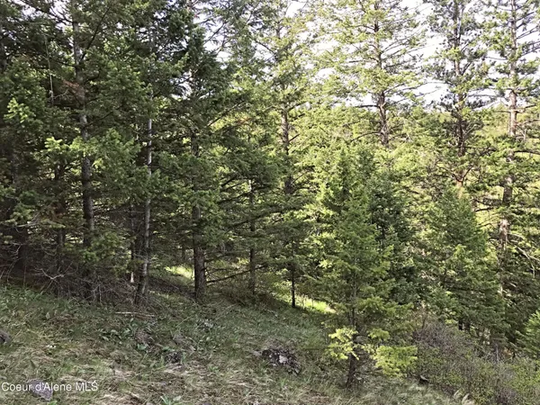 $1,976,000 | Nha McLaughlin Creek Road, Plains, MT 59859