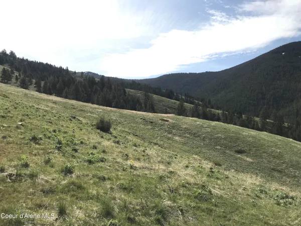 $1,976,000 | Nha McLaughlin Creek Road, Plains, MT 59859